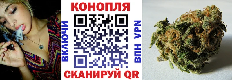 Какие есть наркотики Александров СК  ГАШИШ  Амфетамин  Конопля 