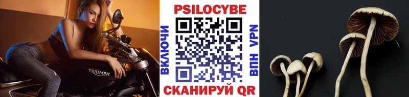 Галлюциногенные грибы мицелий  Александров 